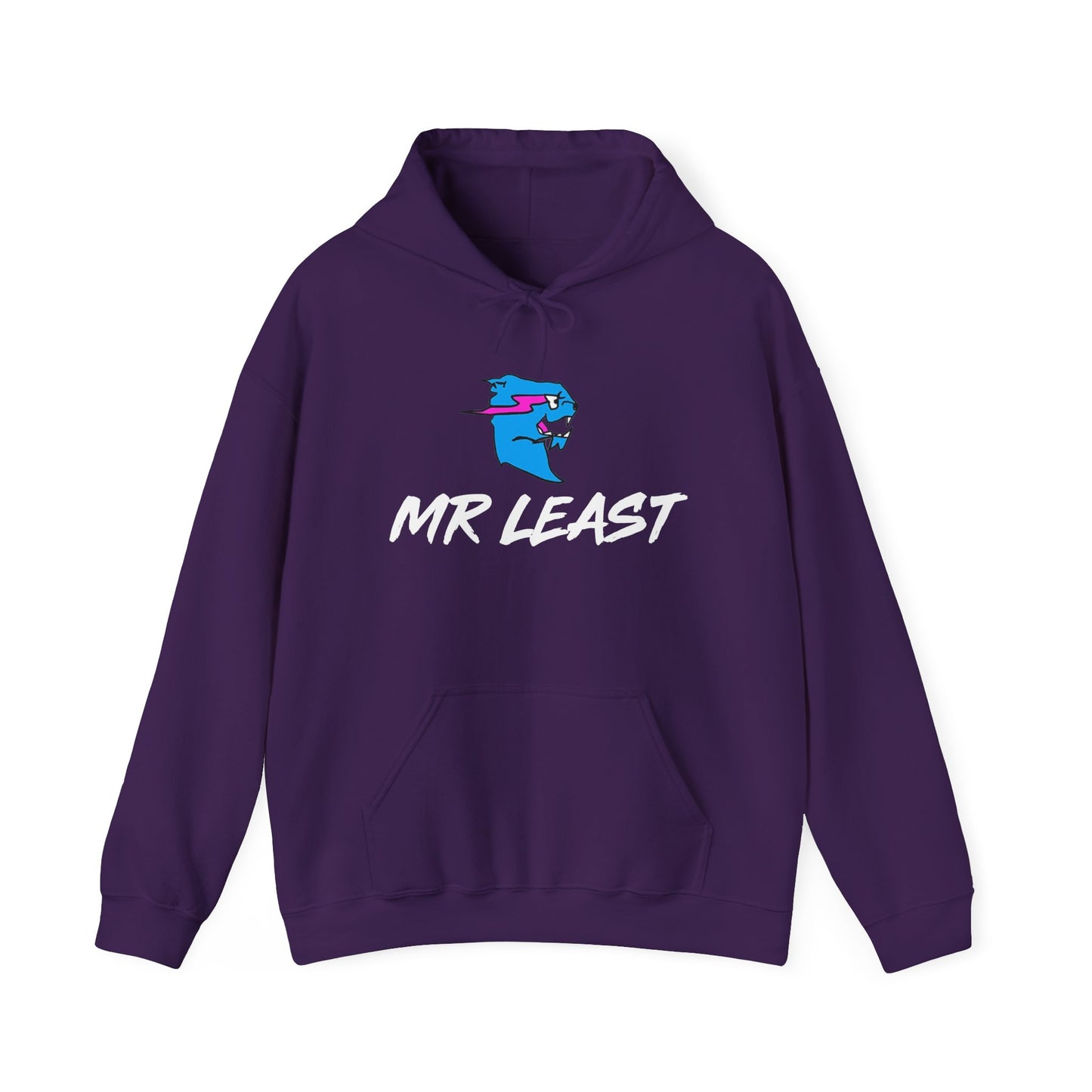 Mr Least Hoodie
