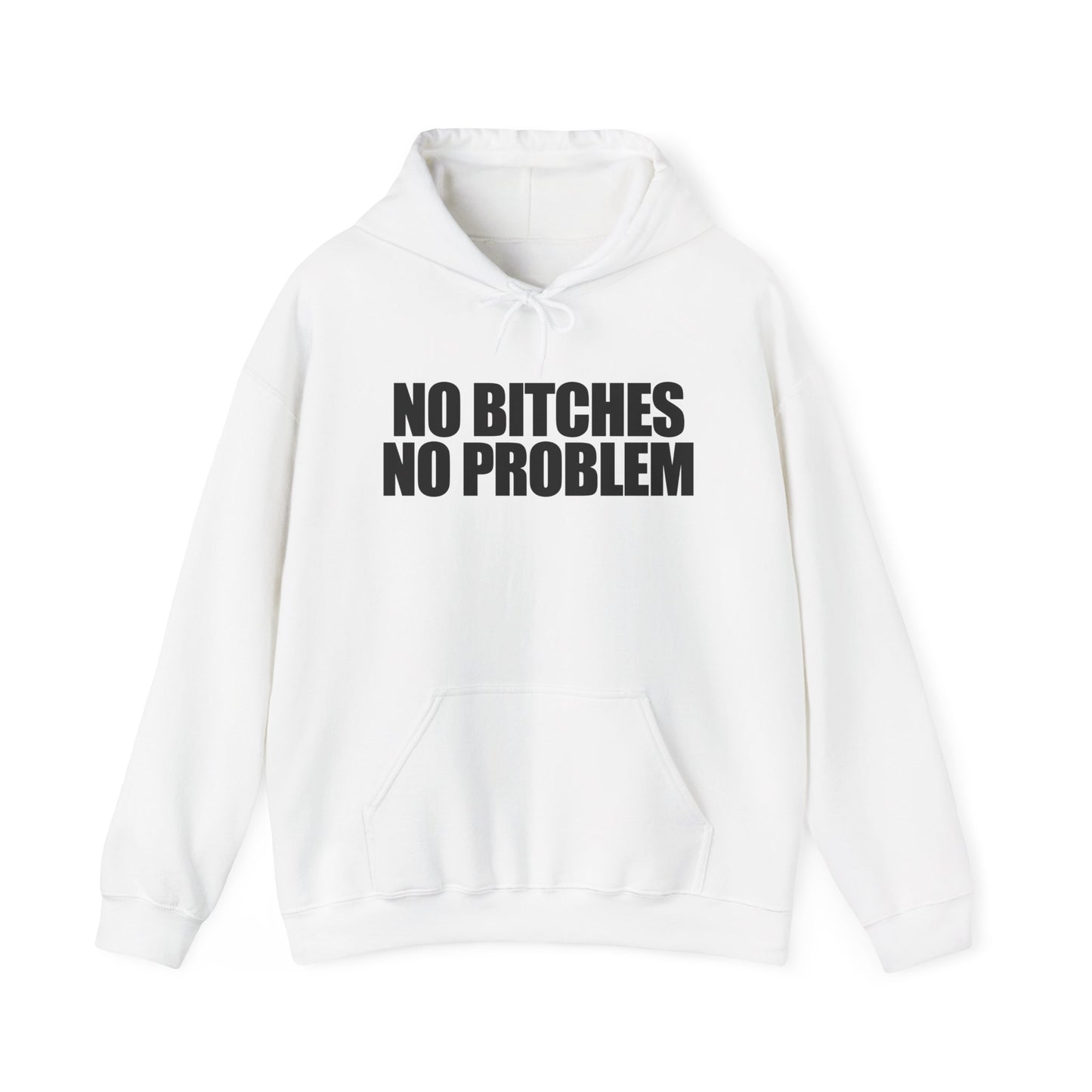No Bitches No Problem Hoodie