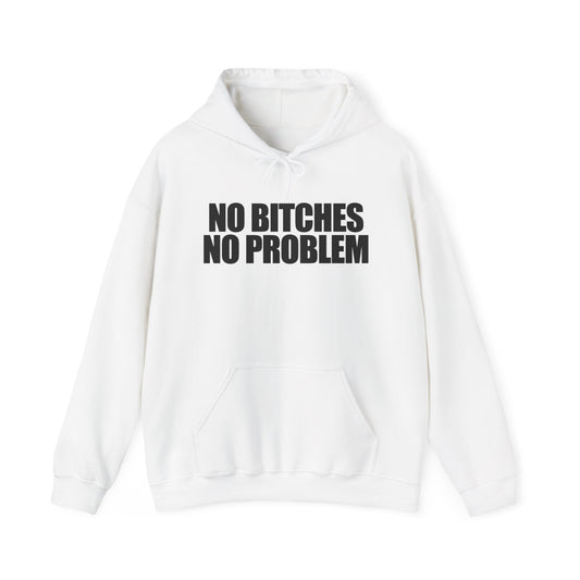 No Bitches No Problem Hoodie