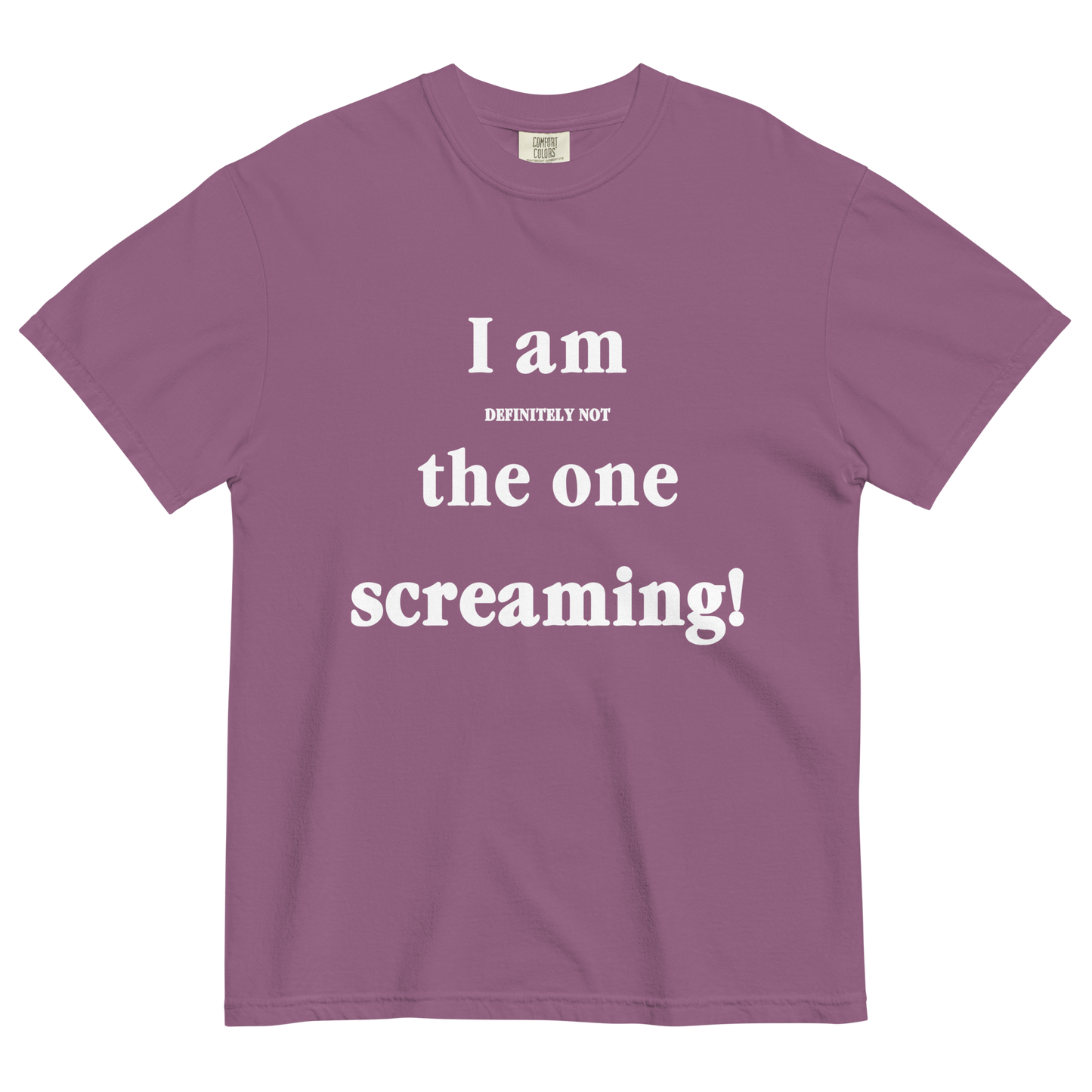 I Am Definitely Not The One Screaming T-Shirt