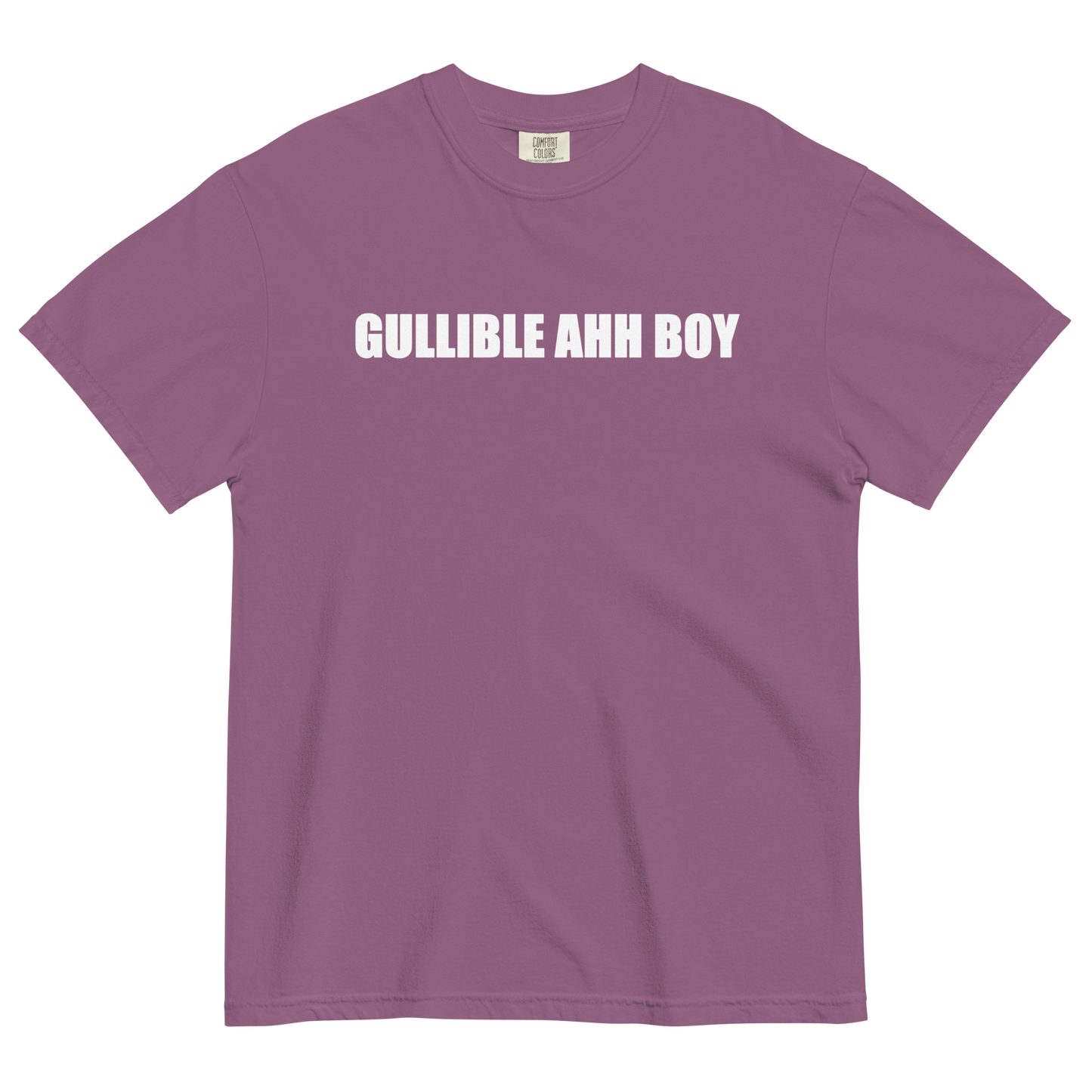 Gullible Ahh Boy T-Shirt