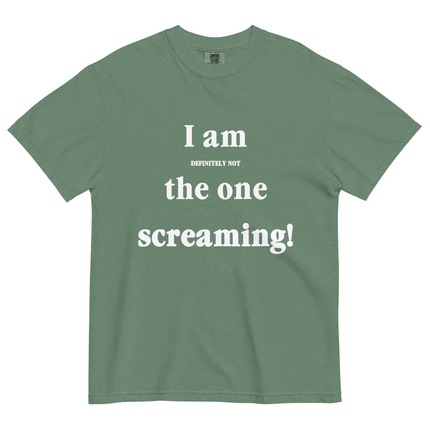 I Am Definitely Not The One Screaming T-Shirt
