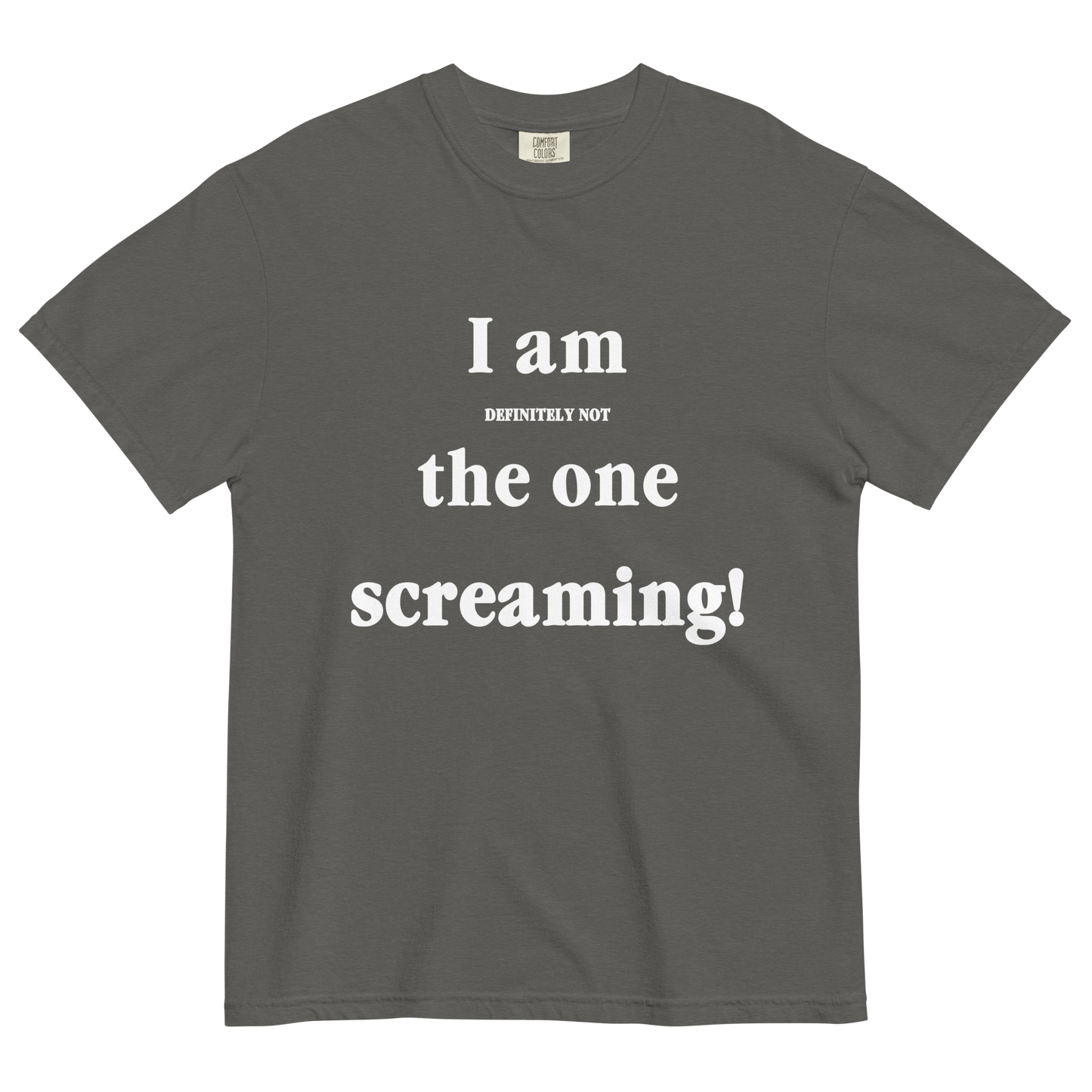 I Am Definitely Not The One Screaming T-Shirt